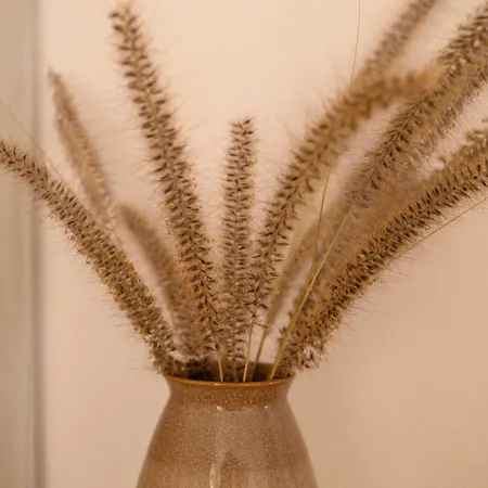 Villa Portugal Alma Villa Algarve - Luxury Villa With Private Pool